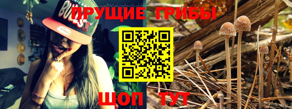 Псилоцибиновые грибы мухоморы  Вход с VPN  Свободный 